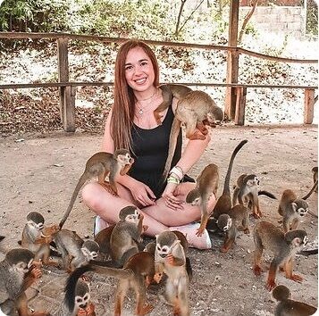 Monkey Home 9