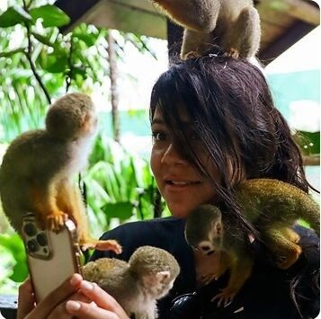 Monkey Home 7