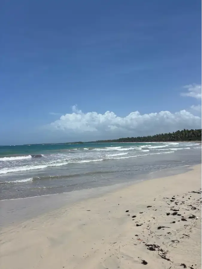 Dudu Lagoon and Northern Beaches. 10