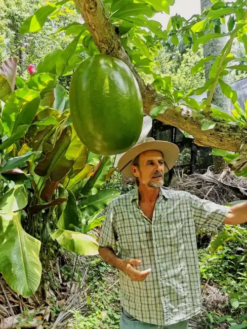 Taino Valley Tropical Park: Authentic Countryside Experience 11